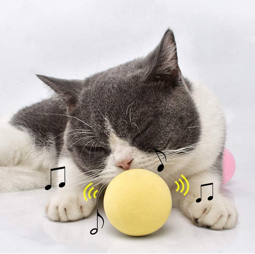 SmartBall™ - Balle intelligente d'apprentissage pour chat - Enchanté Minet